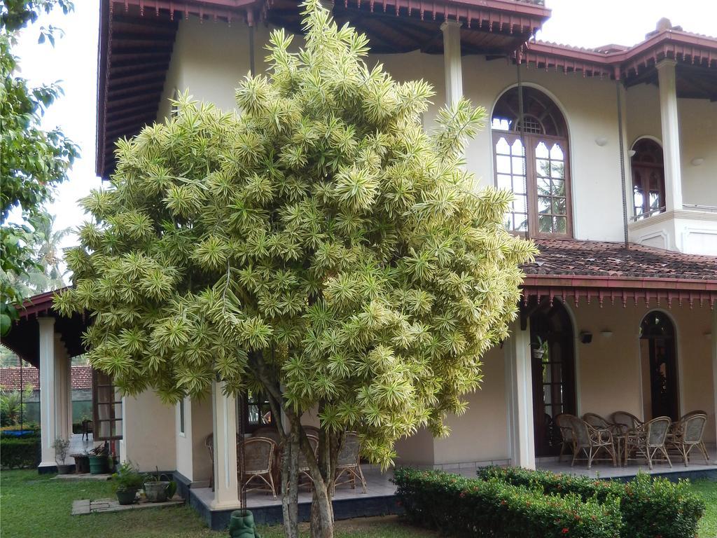 Villa Ranmenika Ahungalla Εξωτερικό φωτογραφία